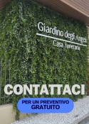 Giardino Verticale Artificiale LUX™ in EDERA per INTERNI ed ESTERNI - Pannelli Assemblabili su Misura