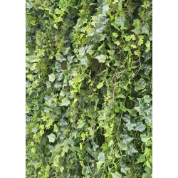 Vertical garden ARTIFICIAL LUX™ for INTERIOR and EXTERIOR Panel for Assembly - CALL FOR QUOTE