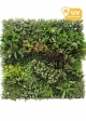 Pannelli per Giardino Verticale SMART PANEL - "MADAGASCAR" Mod. B ( Misure 100x100cm)