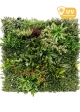 Pannelli per Giardino Verticale SMART PANEL - "MADAGASCAR" Mod. C ( Misure 100x100cm)