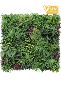 Pannelli per Giardino Verticale SMART PANEL - "WONDERLAND" (Misure 100x100cm)
