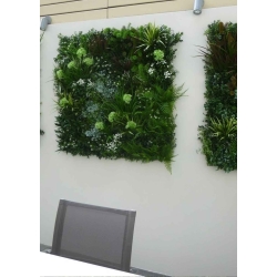Pannelli per Giardino Verticale LOW COST - "MADAGASCAR" Mod. A ( Misure 100x100cm)