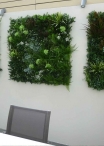 Pannelli per Giardino Verticale LOW COST - "MADAGASCAR" Mod. A ( Misure 100x100cm)