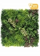 Pannelli per Giardino Verticale SMART PANEL - "HERA" Mod. C (Misure 100x100cm)