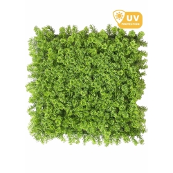 LICHEN WALL Panels from 75x75m Different Colors 