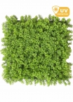 Pannelli di Lichene ARTIFCIALE VERDE LIME per Allestimenti Pareti Verdi (Misura 100x100cm)