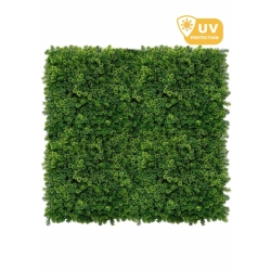 LICHEN WALL Panels from 75x75m Different Colors 