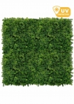 Pannelli di Lichene ARTIFICIALE VERDE SCURO per Allestimenti Pareti Verdi (Misura 100x100cm)