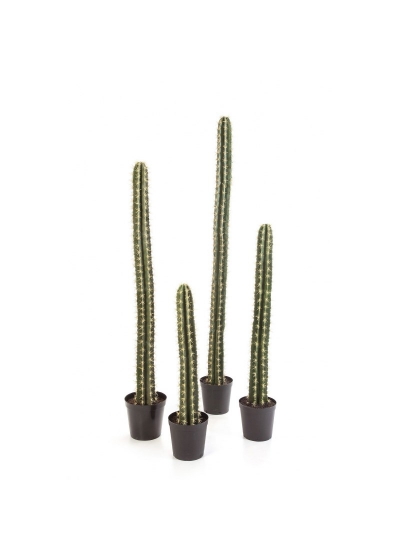Cactus Single Column 206Cm
