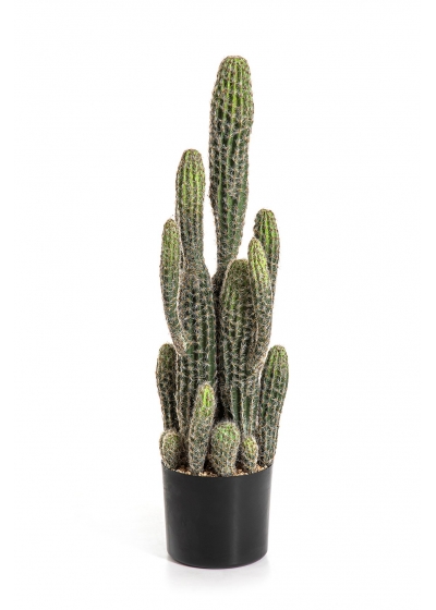 Cactus Column - 76Cm