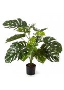 Split Philo Con Vaso - 85Cm