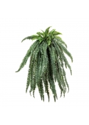 Felce Large Sospesa Cespuglio X 6 - 150Cm