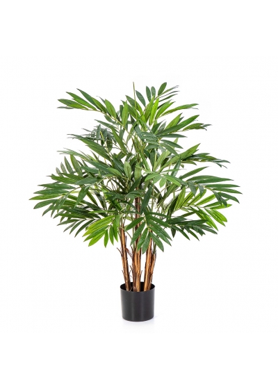 Parlour Palm De Luxe 110Cm - 110Cm
