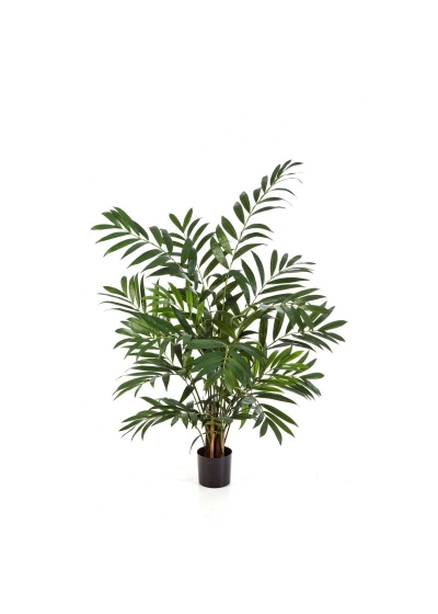 Parlour Palm 110 Cm Con Vaso - 110Cm