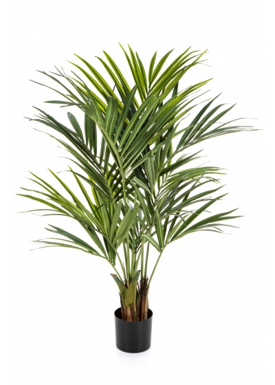Kentia Natural Palm De Lux - 172Cm