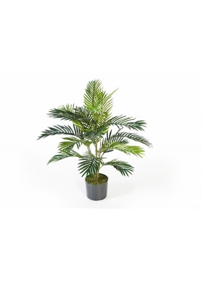 Areca Palm Con Vaso - 90Cm