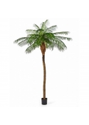 Phoenix Palm De Luxe - 280Cm