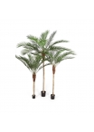 Phoenix Palm Plastic Lea - 180Cm