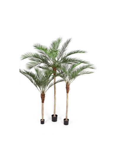 Phoenix Palm Plastic Lea - 210Cm