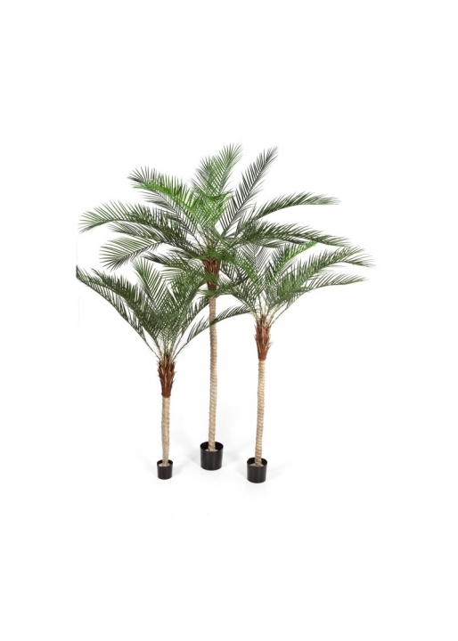 Phoenix Palm Plastic Lea - 210Cm