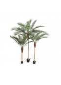 Phoenix Palm Plastic Lea - 210Cm