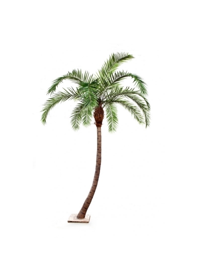 Phoenix Curved Palm - 360Cm