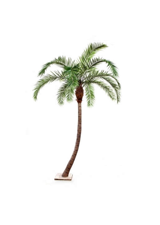 Phoenix Curved Palm - 360Cm