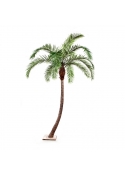 Phoenix Curved Palm - 360Cm