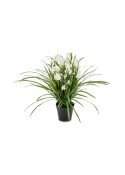 Orchidea Wild Bianco Con Vaso - 85Cm