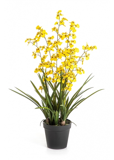 Orchidea Oncidium Giallo W/P - 100Cm