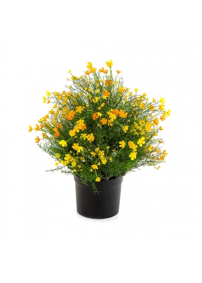 Gypsophila Cespuglio Con Vaso - Yel - 48Cm