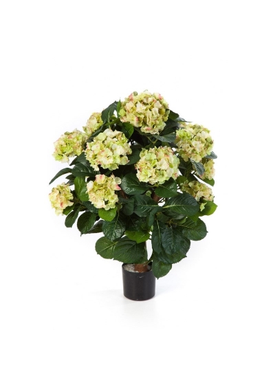 Hydrangea Ball De Luxe Con Vaso - 62Cm