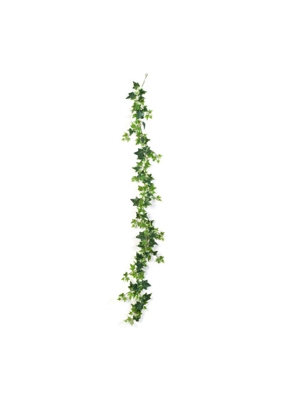 Edera Variegata Garland - 180Cm