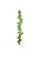 Nepthytis Garland - 180Cm