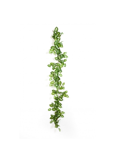 Nepthytis Garland - 180Cm
