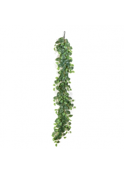 Scindapsus Garland 180 Cm - 180Cm