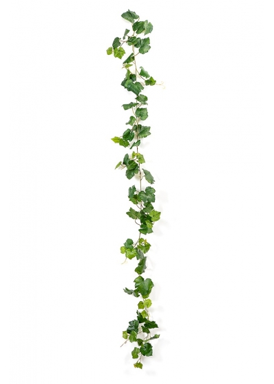 Grape Edera Vine Verde 230 Cm - 230Cm