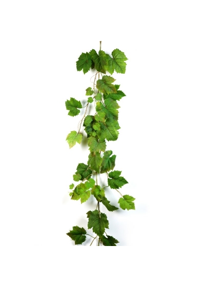 Grape Natural Foglia Garla - 180Cm