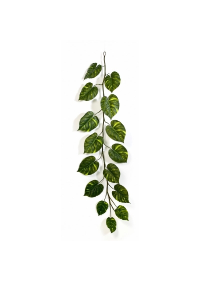 Pothos Giant Garland X 15 - 230Cm