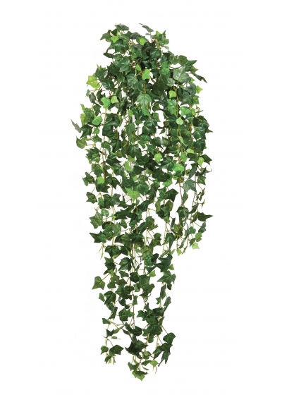 Edera English Sospesa Cespuglio - 85Cm