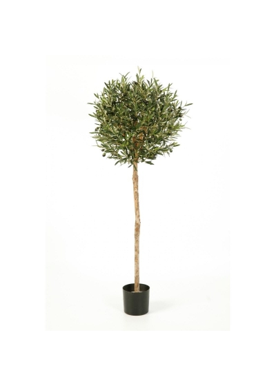 Olivo Natural Ball Tree - 140Cm