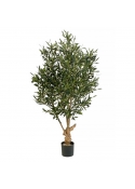 Olivo Nat. Twisted Tree - 180Cm