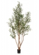 Olivo Tree W/Fr Wild Tru - 220Cm