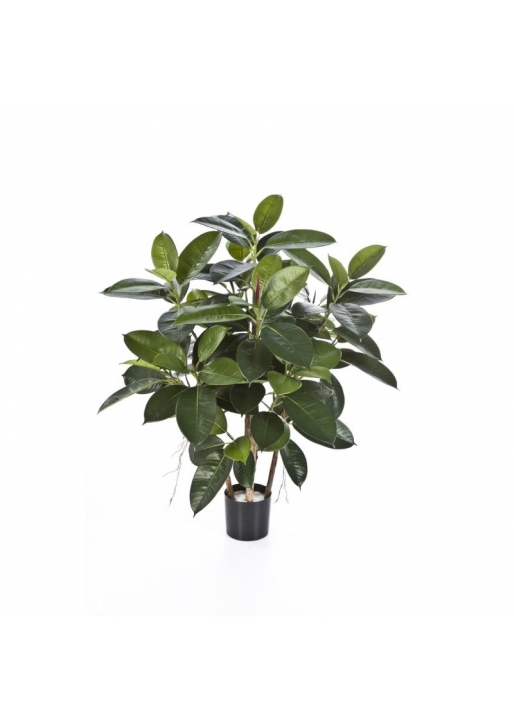 Rubber Pianta - 90Cm