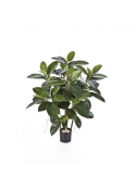 Rubber Pianta - 90Cm