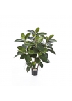 Rubber Pianta - 90Cm