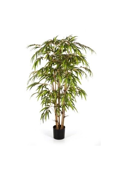 Bambù Tree - 210Cm