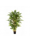 Bambù New Tree - 150Cm