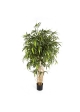 Bambù New Natural Tree - 300Cm
