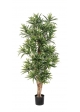 Dracaena Reflexa - 150Cm